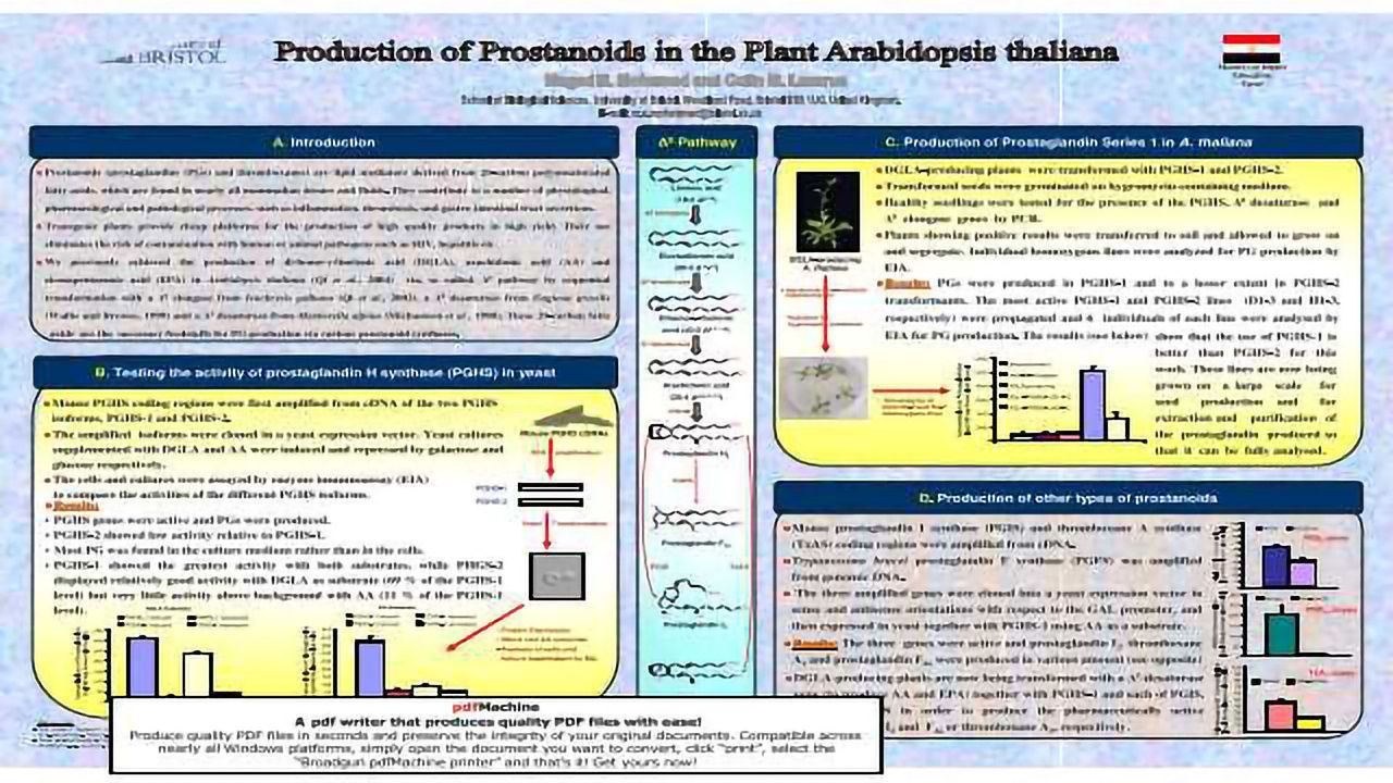Production of prostanoids in the plant Arabidopsis thaliana