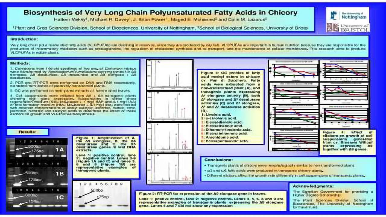 Biosynthesis of Very Long Chain Polyunsaturated Fatty Acids in Chicory