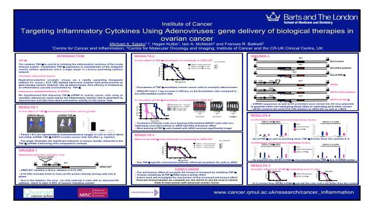 Targeting Inflammatory Cytokines Using Adenoviruses: gene delivery of biological therapies in ovarian cancer
