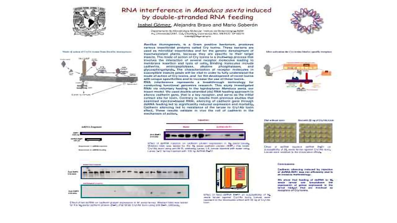 Rna Interference In Manduca Sexta Induced By Double Stranded Rna Feeding Poster Technology Networks