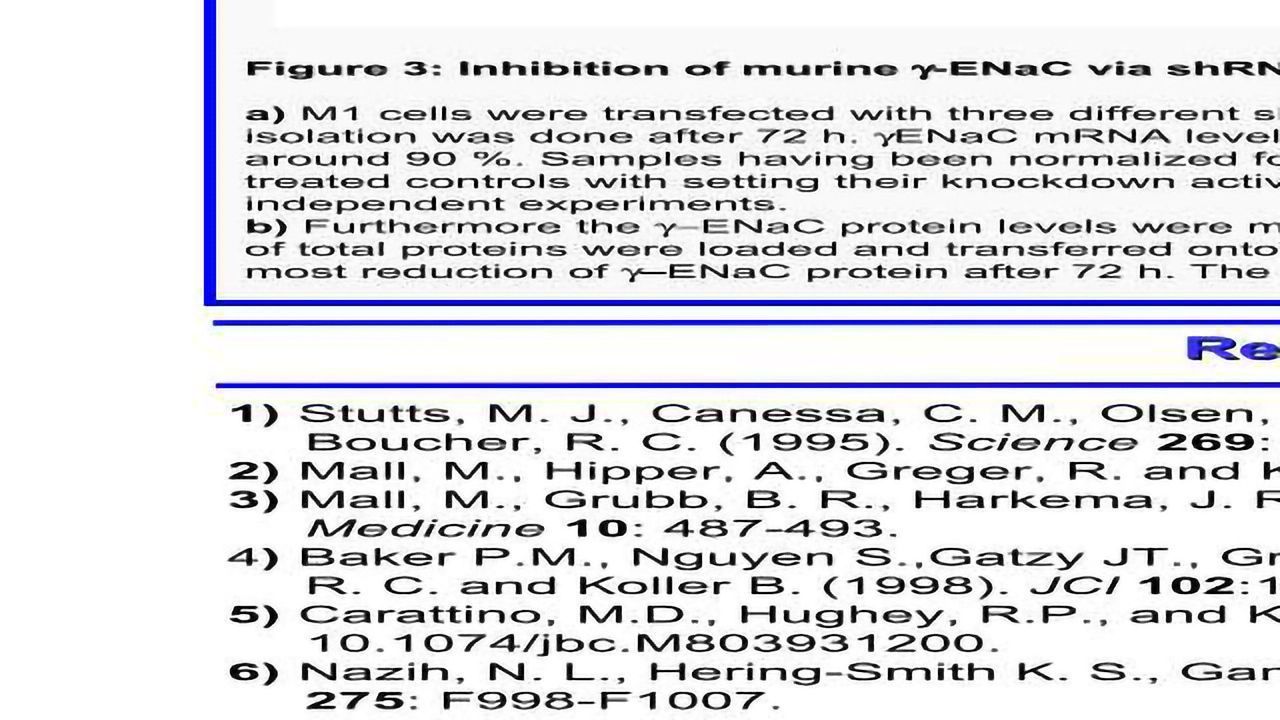 Efficient downregulation of the lung liquid clearing gammaENaC subunit by RNAi