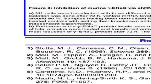 Efficient downregulation of the lung liquid clearing gammaENaC subunit by RNAi