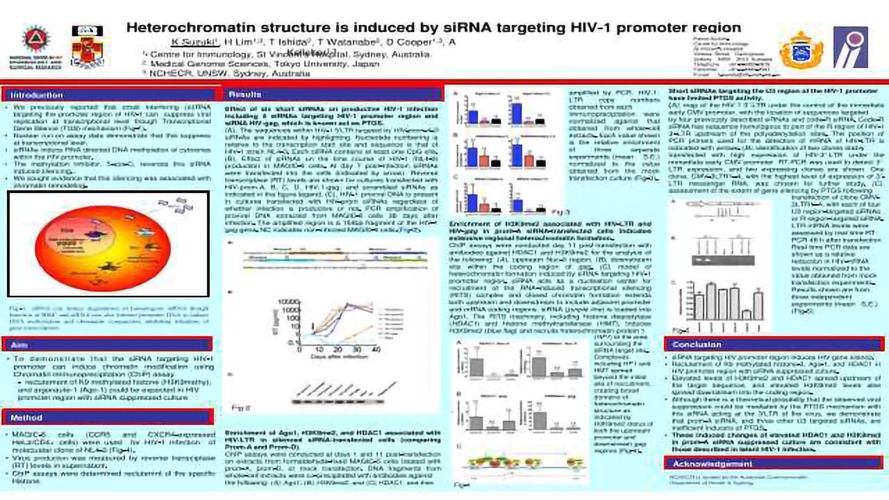 Heterochromatin structure is induced by siRNA targeting HIV-1 promoter region