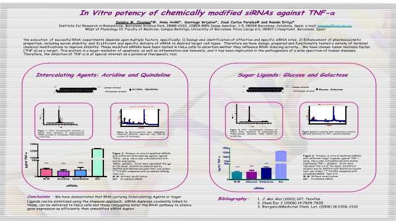 In Vitro Potency of Chemically Modified siRNAs Against TNF-alpha