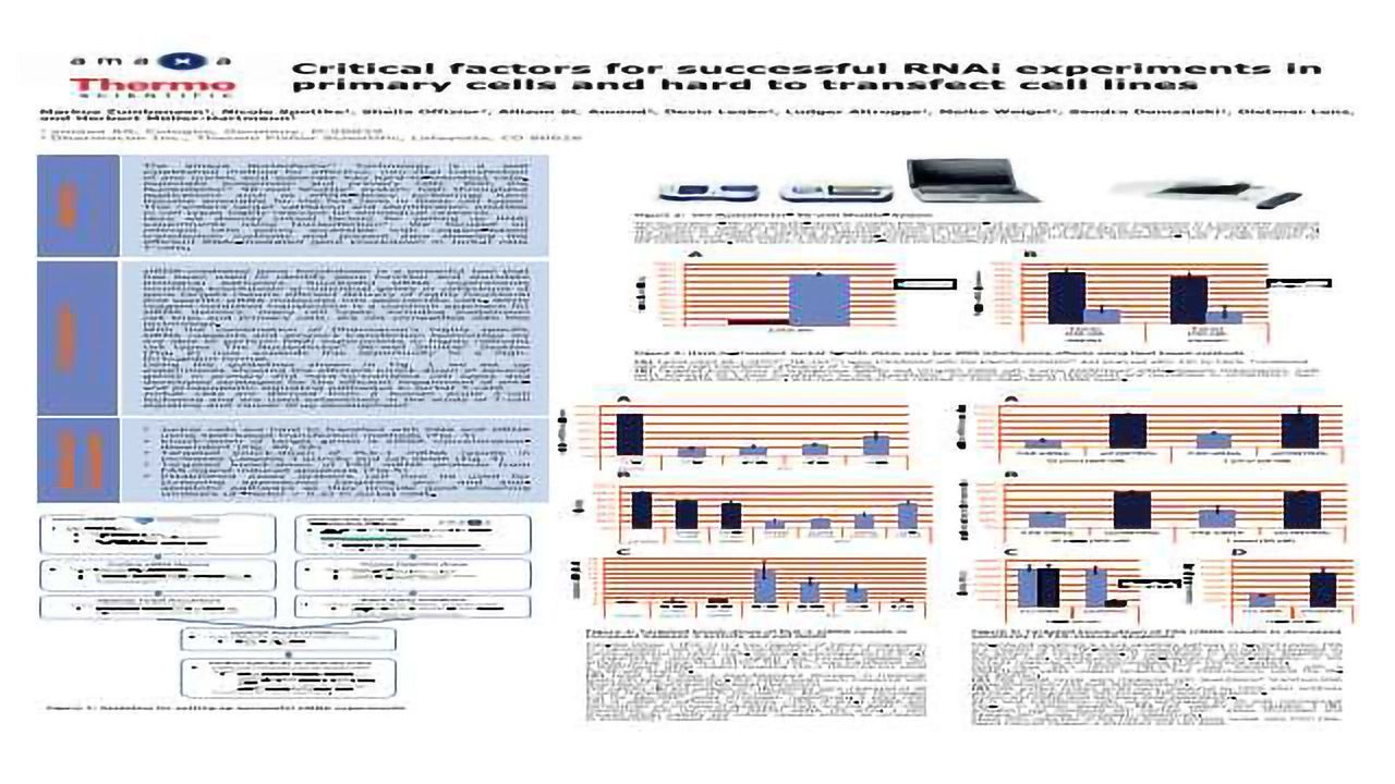 Critical factors for successful RNAi experiments in primary cells and hard to transfect cell lines