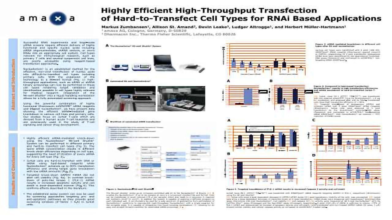 Highly Efficient High-Throughput Transfection