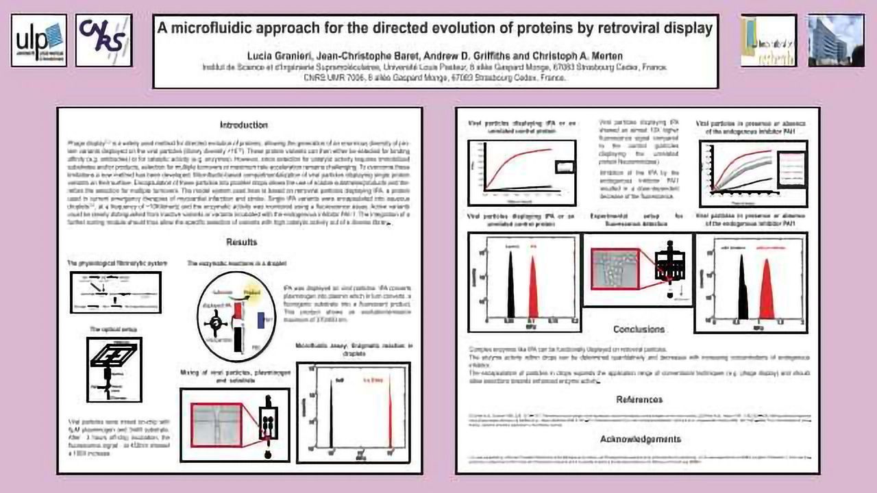 A microfluidic approach for the directed evolution of proteins by retroviral display