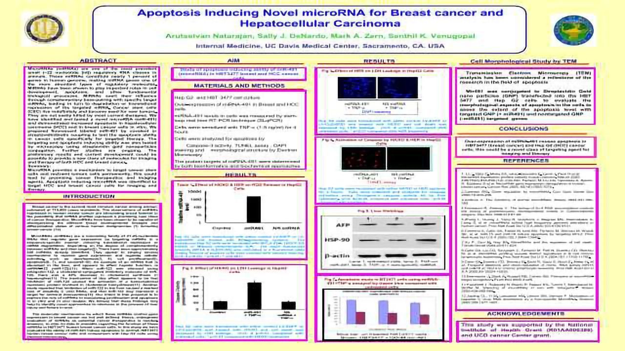 Apoptosis Inducing Novel microRNA for Breast cancer and Hepatocellular Carcinoma