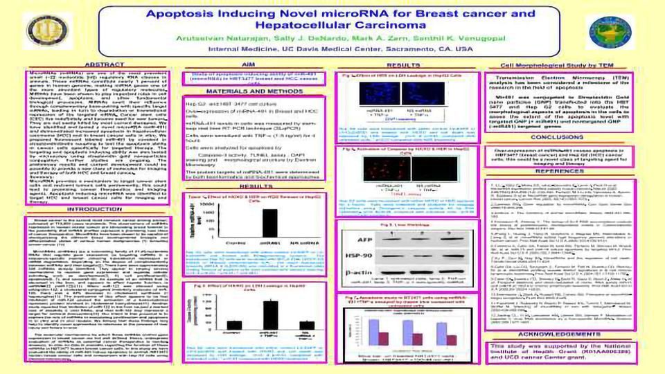 Apoptosis Inducing Novel microRNA for Breast cancer and Hepatocellular Carcinoma content piece image