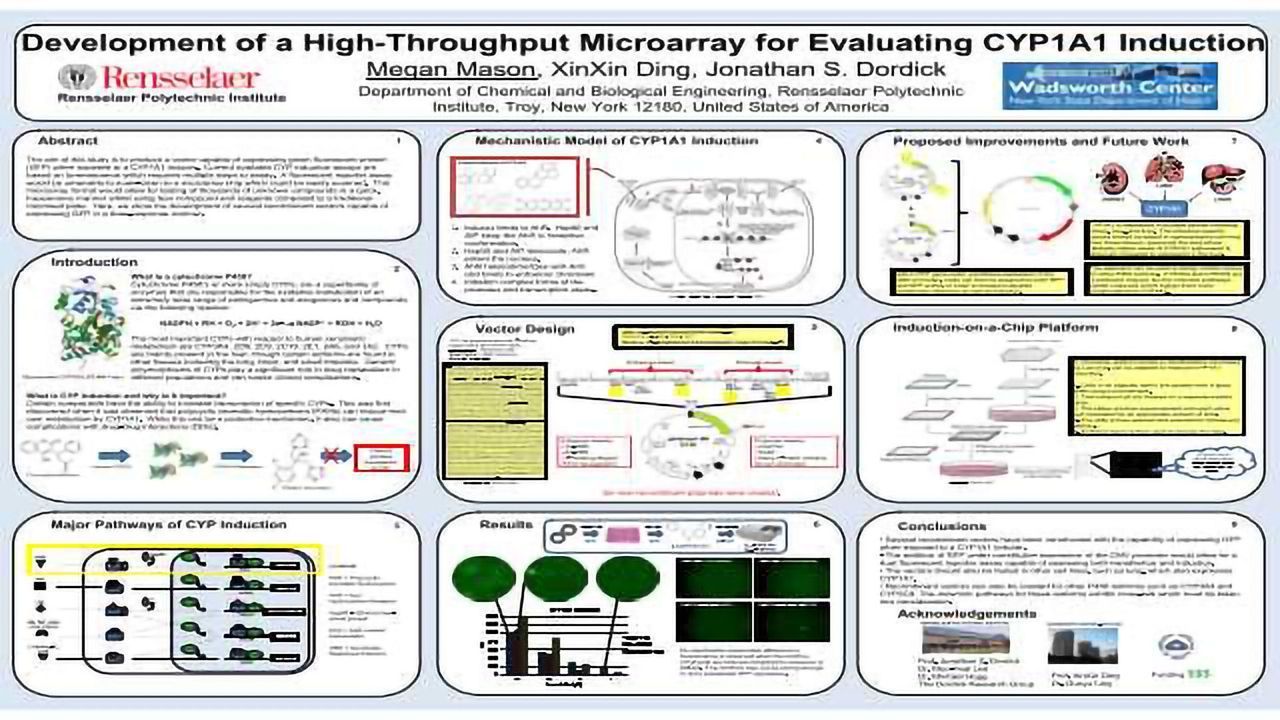 Development of a High-Throughput Microarray for Evaluating CYP1A1 Induction
