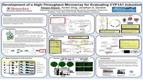 Development of a High-Throughput Microarray for Evaluating CYP1A1 Induction