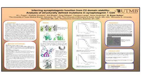 Inferring synaptotagmin function from C2 domain stability: Analysis of structurally defined mutations in synaptotagmin 1 C2A