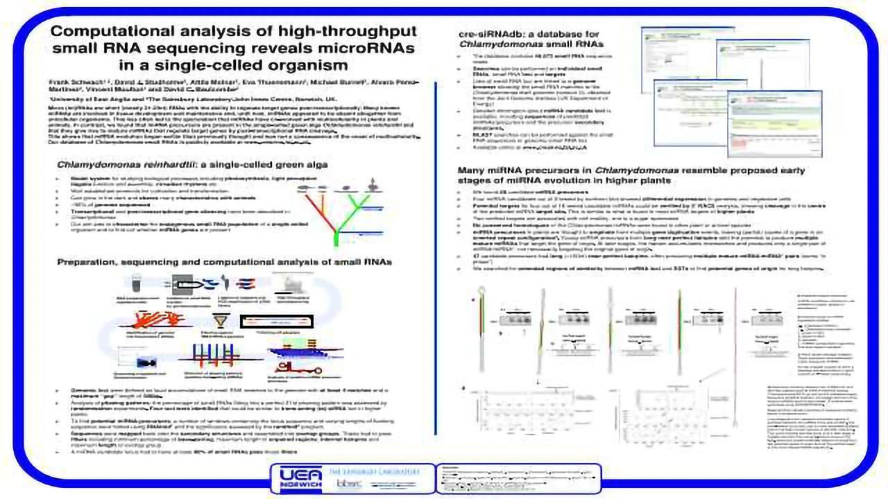 Computational analysis of high-throughputsmall RNA sequencing reveals microRNAs in a single-celled organism