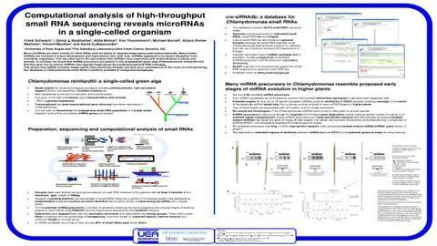 Computational analysis of high-throughputsmall RNA sequencing reveals microRNAs in a single-celled organism