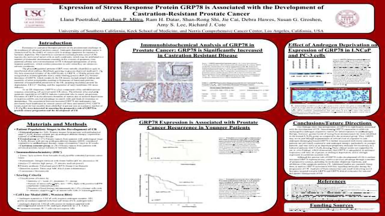 Expression of stress response protein GRP78 is associated with the development of castration-resistant prostate cancer