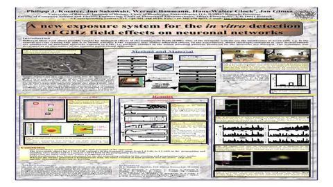 A new exposure system for the in vitro detection of GHz field effects on neuronal networks