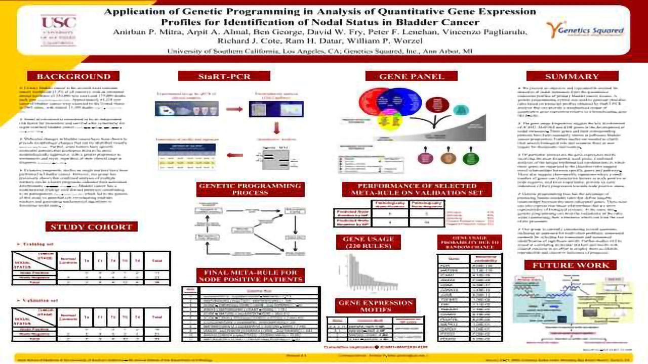 Application of genetic programming in analysis of quantitative gene expression profiles for identification of nodal status in bladder cancer