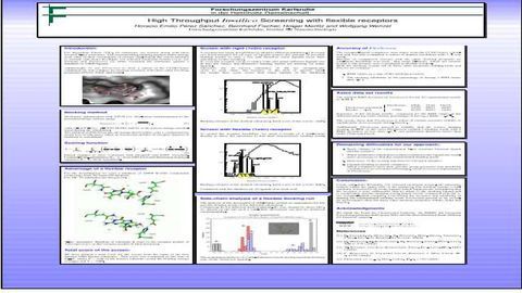 High Throughput In-silico Screening with flexible receptors