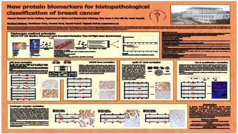 New Protein Biomarkers for Histopathological Classification of Breast Cancer