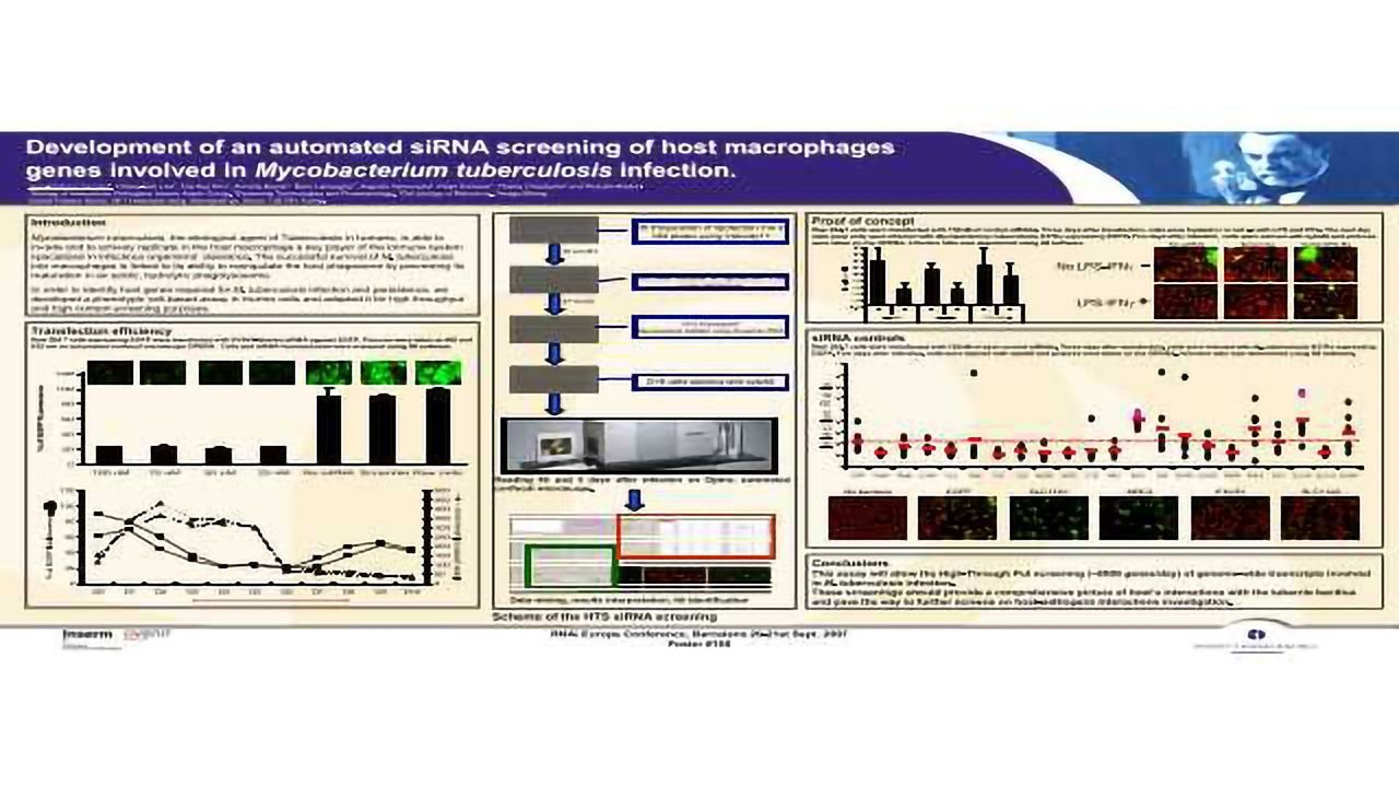 Development of an Automated siRNA Screening of Host Macrophages Genes Involved in Mycobacterium Tuberculosis Infection