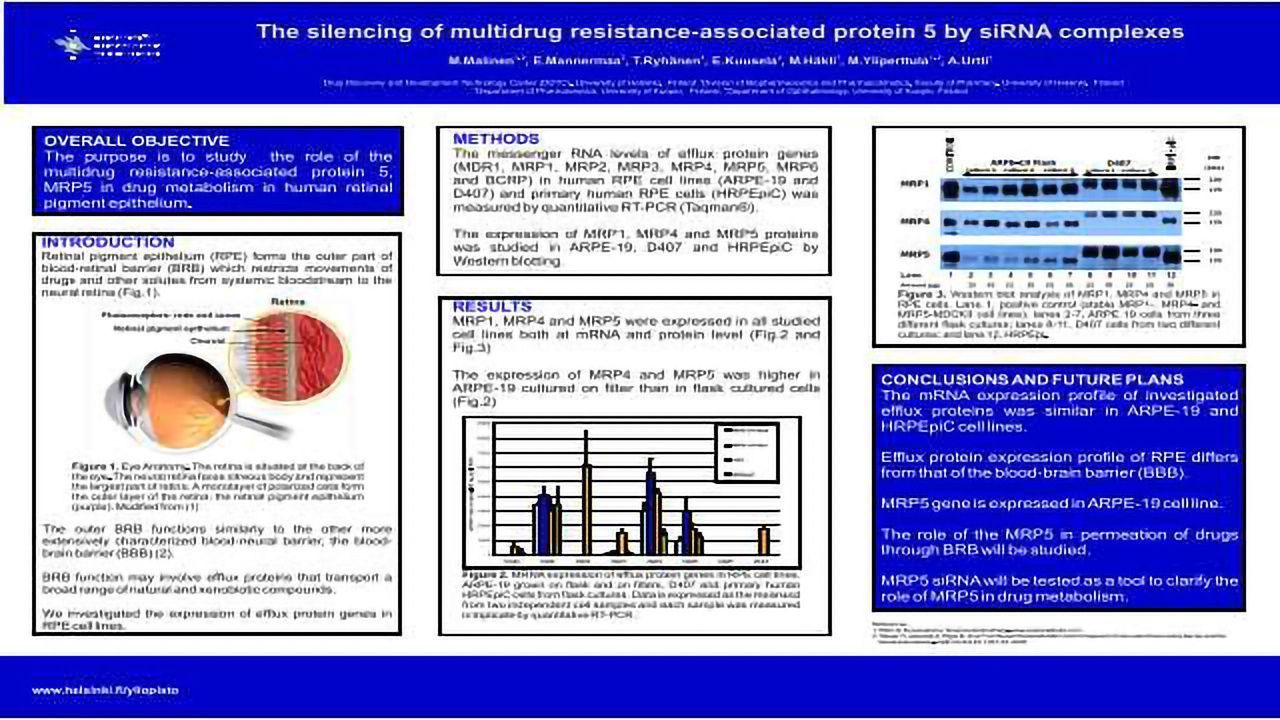 The Silencing of Multidrug Resistance-Associated Protein 5 by siRNA Complexes