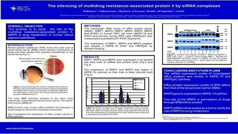 The Silencing of Multidrug Resistance-Associated Protein 5 by siRNA Complexes