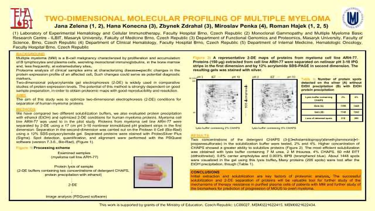 Two-Dimensional Molecular Profiling of Multiple Myeloma