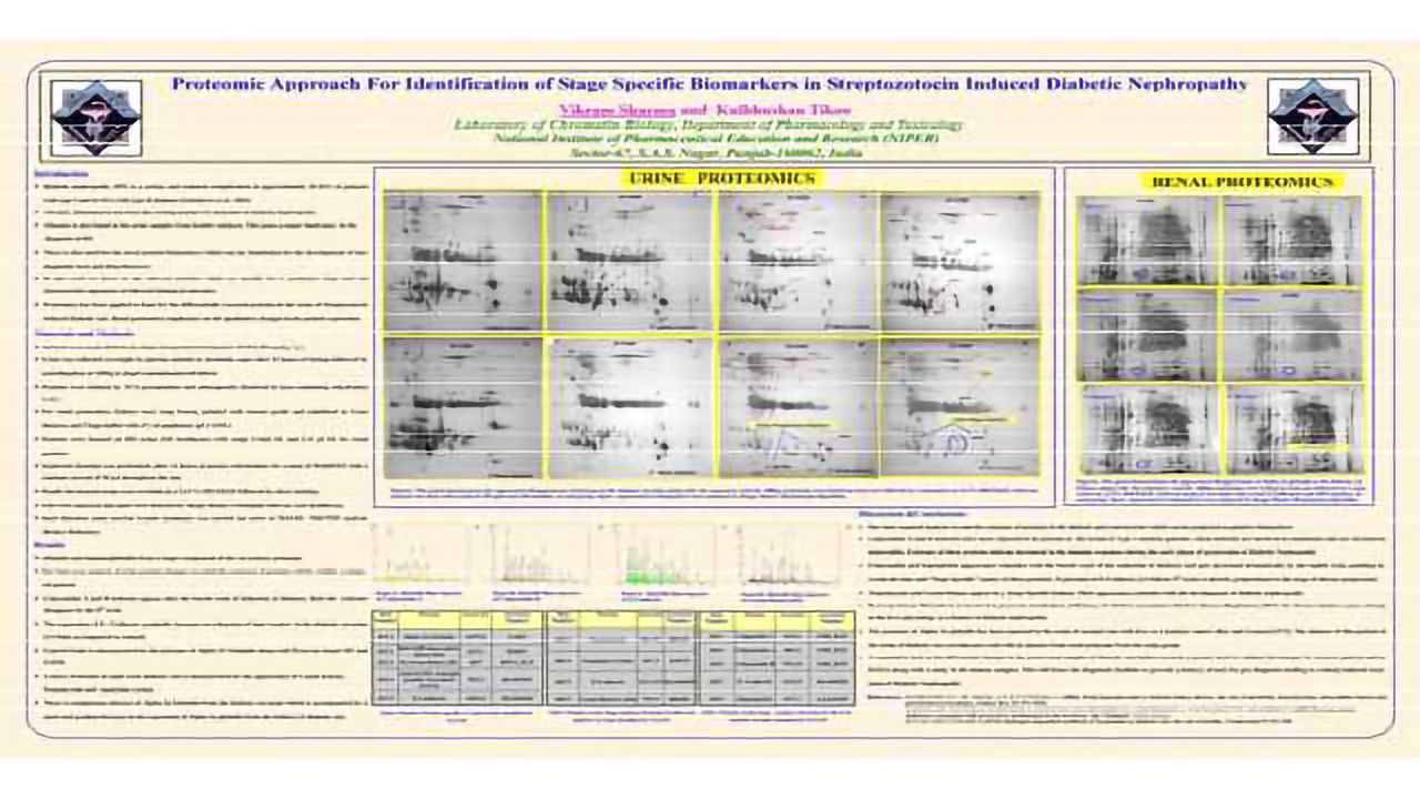 Proteomic Approach to Identify Stage Specific Biomarkers in Streptozotocin Induced Diabetic Nephropathy