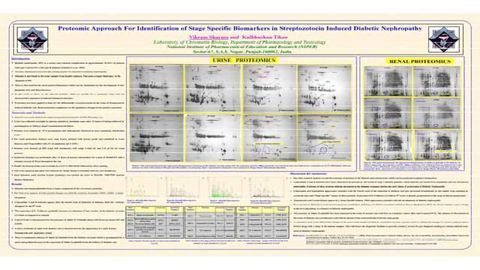 Proteomic Approach to Identify Stage Specific Biomarkers in Streptozotocin Induced Diabetic Nephropathy