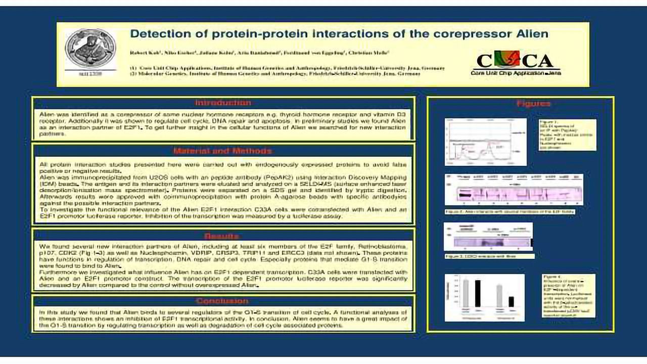 Detection of Protein-Protein Interactions of the Corepressor Alien