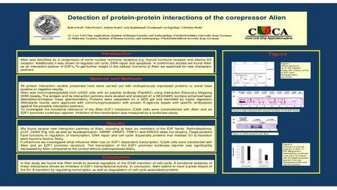 Detection of Protein-Protein Interactions of the Corepressor Alien