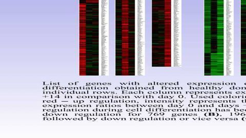 Expression Profiling of CD34+ of Peripheral Blood of Patients with Lymphoma During ex vivo Granulocytic Differentiation