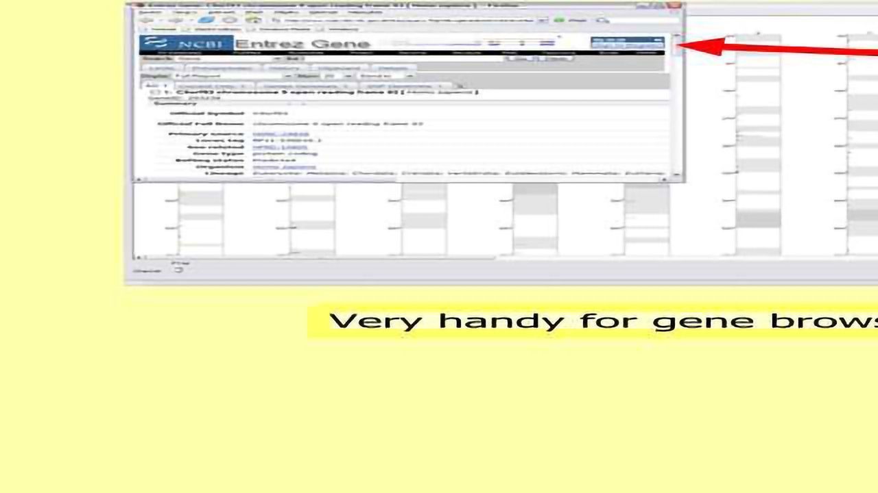 Interactive Transcription Maps Over Microarray Data
