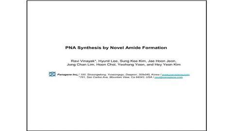PNA Synthesis by Novel Amide Formation