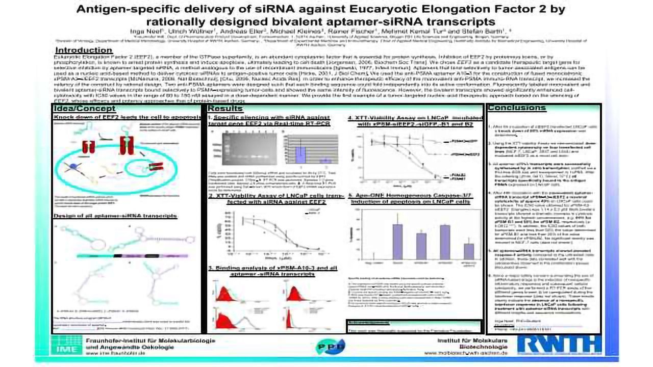 Antigen-Specific Delivery of siRNA Against Eucaryotic Elongation Factor 2 by Rationally Designed Bivalent Aptamer-siRNA Transcripts