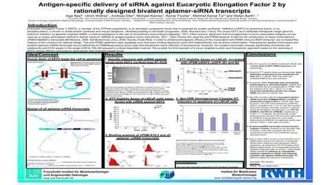 Antigen-Specific Delivery of siRNA Against Eucaryotic Elongation Factor 2 by Rationally Designed Bivalent Aptamer-siRNA Transcripts