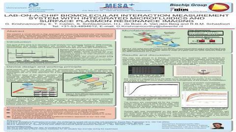 Lab-on-a-chip Biomolecular Interaction Measurement System with Integrated Microfluidics and Surface Plasmon Resonance Imaging
