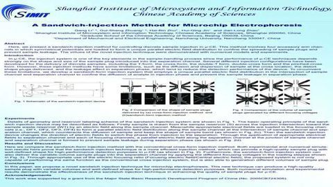 A Sandwich-Injection Method for Microchip Electrophoresis