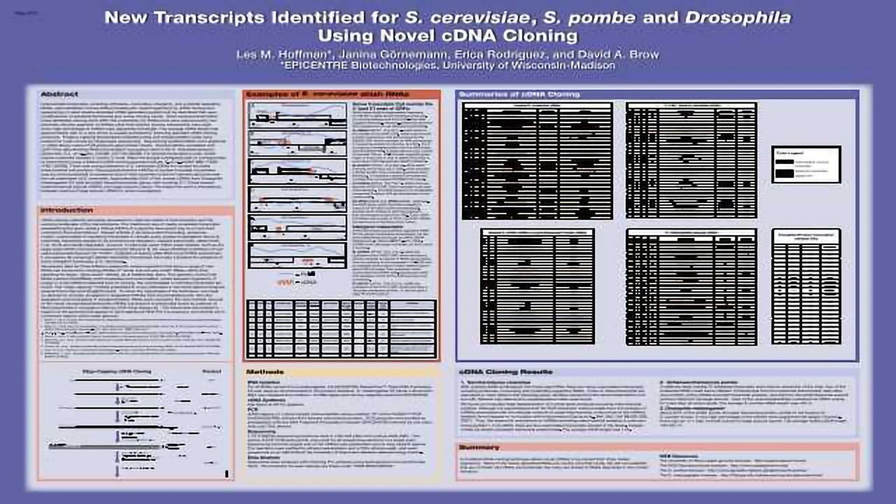 New Transcripts Identified for S. cerevisiae, S. pombe and Drosophila Using Novel cDNA Cloning