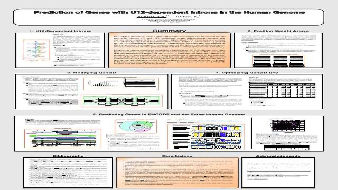 Prediction of Genes with U12-Dependent Introns in the Human Genome