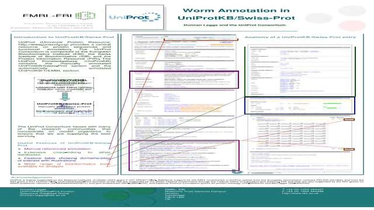 Worm Annotation in UniProtKB/Swiss-Prot