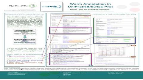 Worm Annotation in UniProtKB/Swiss-Prot