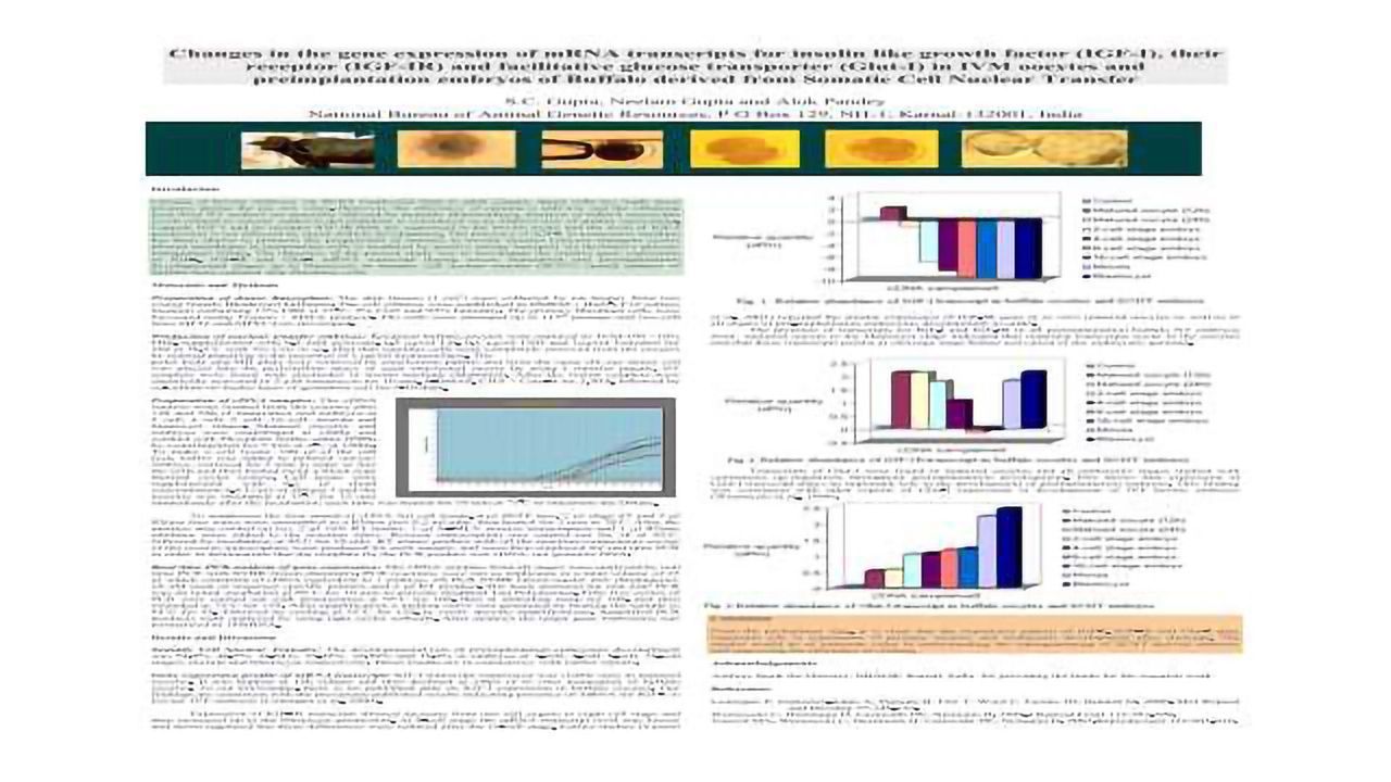 Changes in the Gene Expression of mRNA Transcripts for Insulin like Growth Factor, their receptor and Facilitative Glucose Transporter in IVM Oocytes