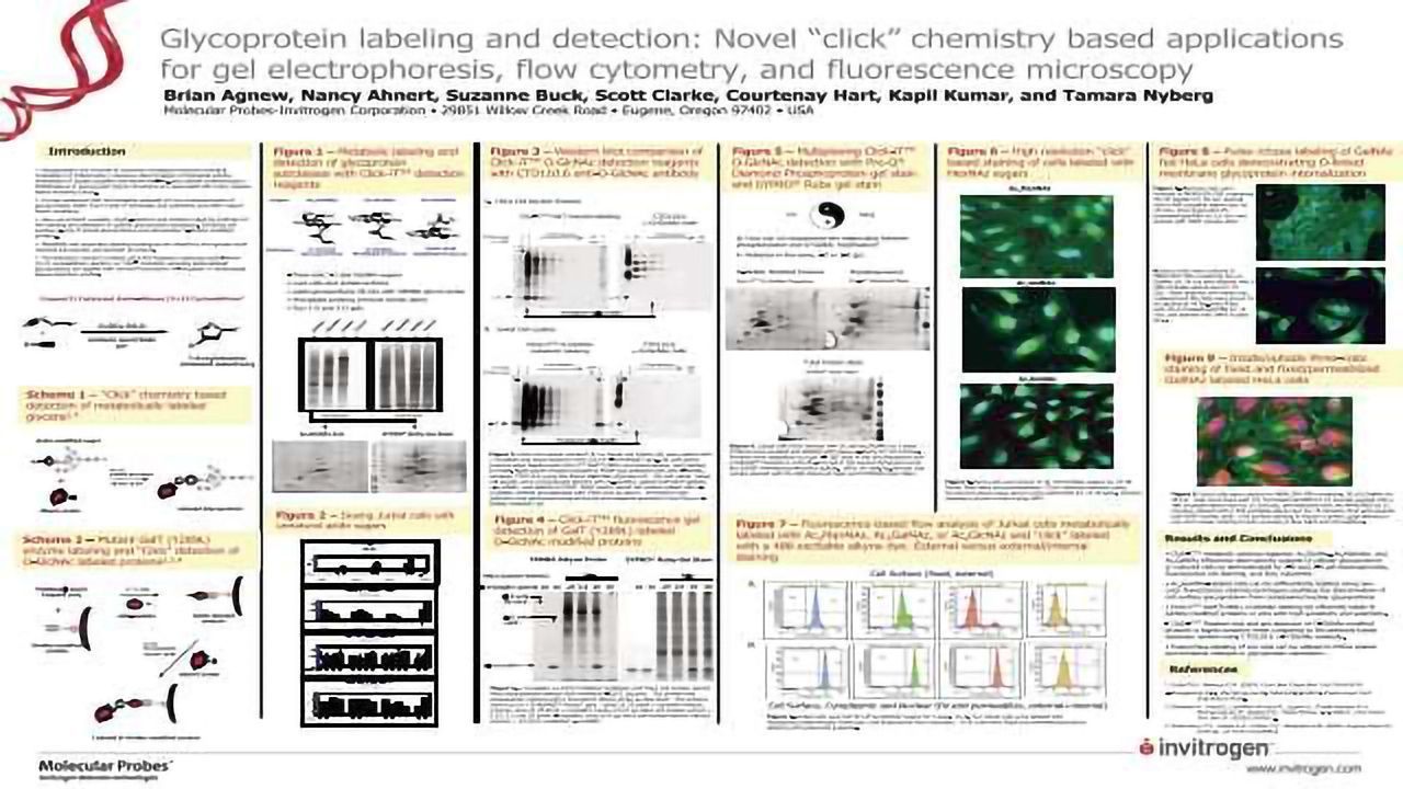 Glycoprotein Labeling and Detection: Novel Click Chemistry-based Applications for gel Electrophoresis, Flow Cytometry and Fluorescence Microscopy