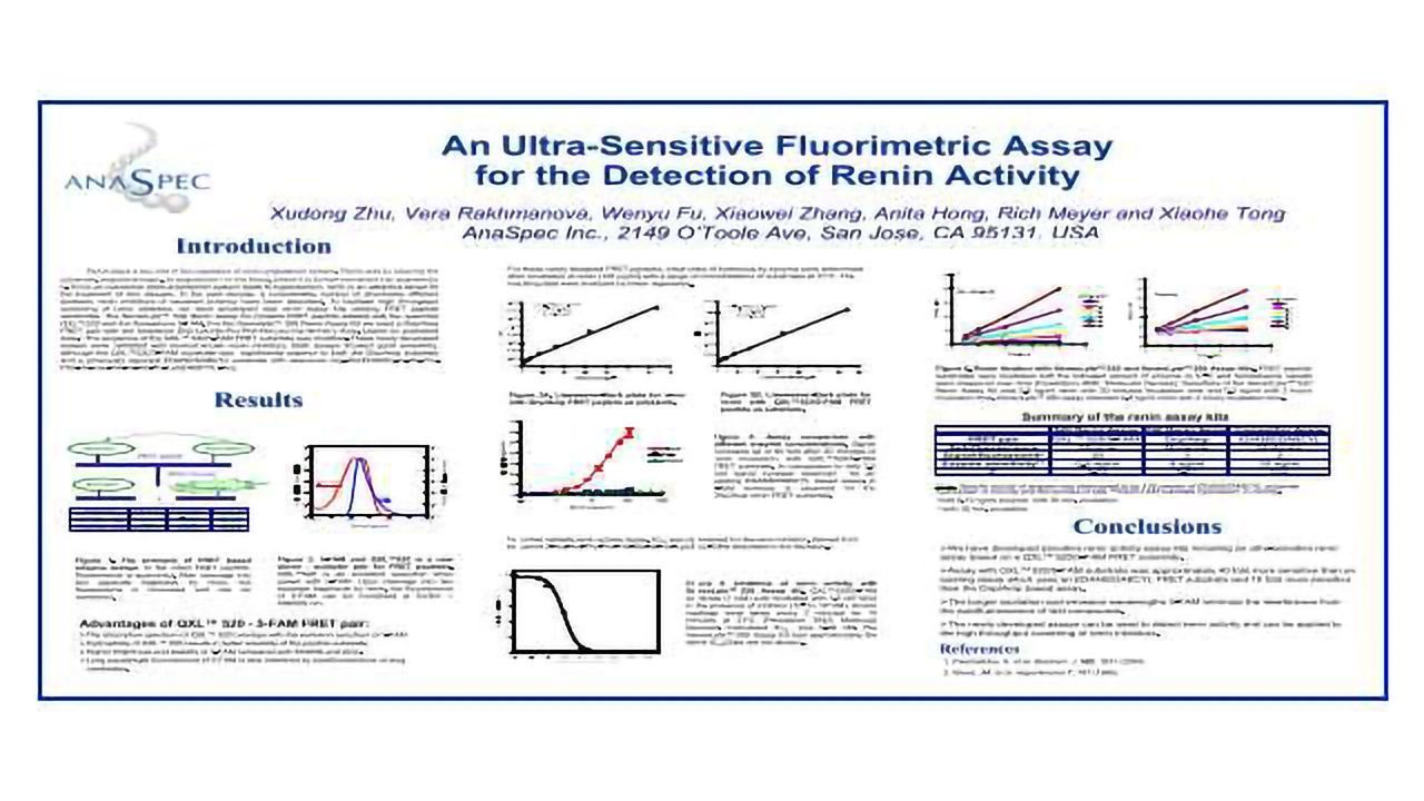 An Ultra-Sensitive Fluorimetric Assay for the Detection of Renin Activity