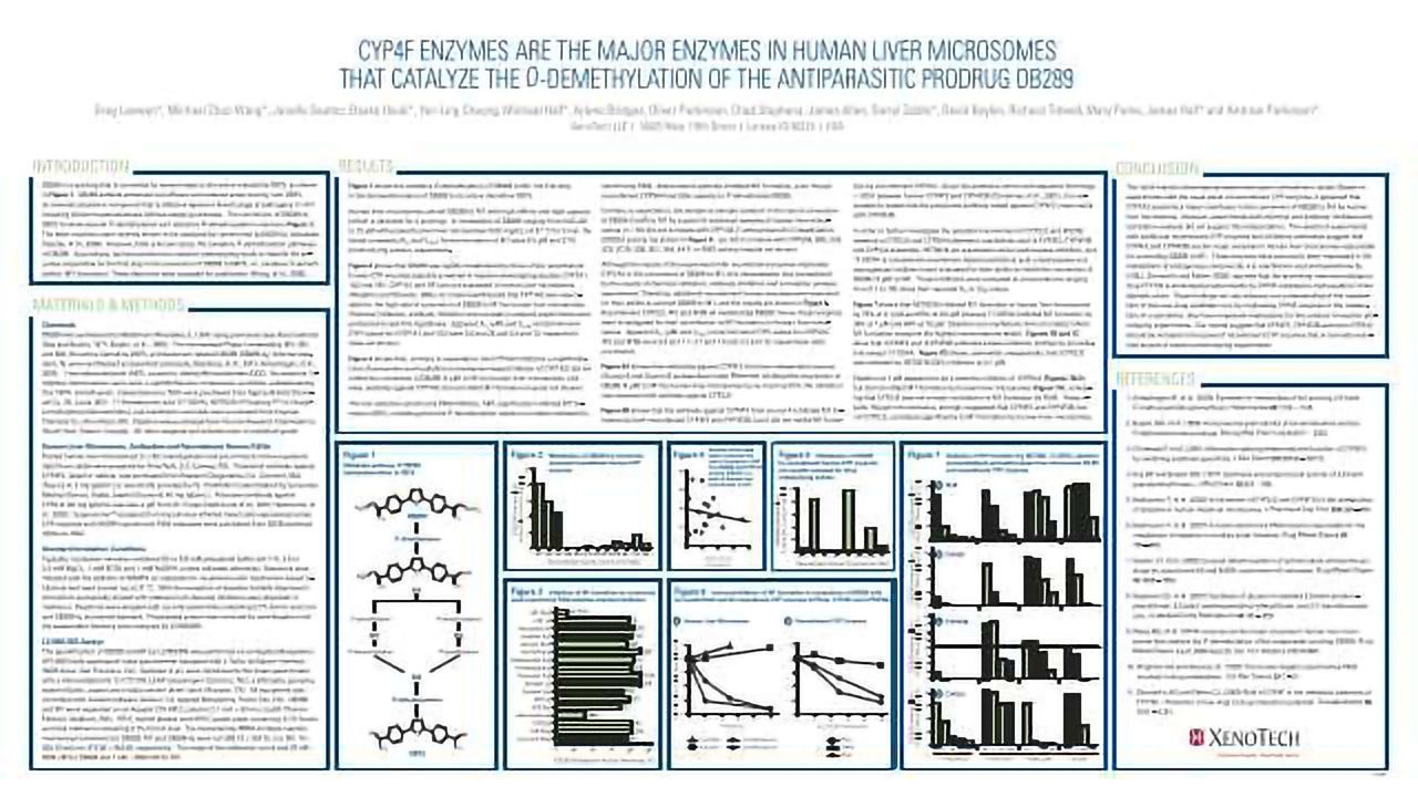 CYP4F Enzymes are the Major Enzymes in Human Liver Microsomes that Catalyze the O-Demethylation of the Antiparasitic Prodrug DB289