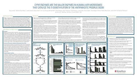 CYP4F Enzymes are the Major Enzymes in Human Liver Microsomes that Catalyze the O-Demethylation of the Antiparasitic Prodrug DB289