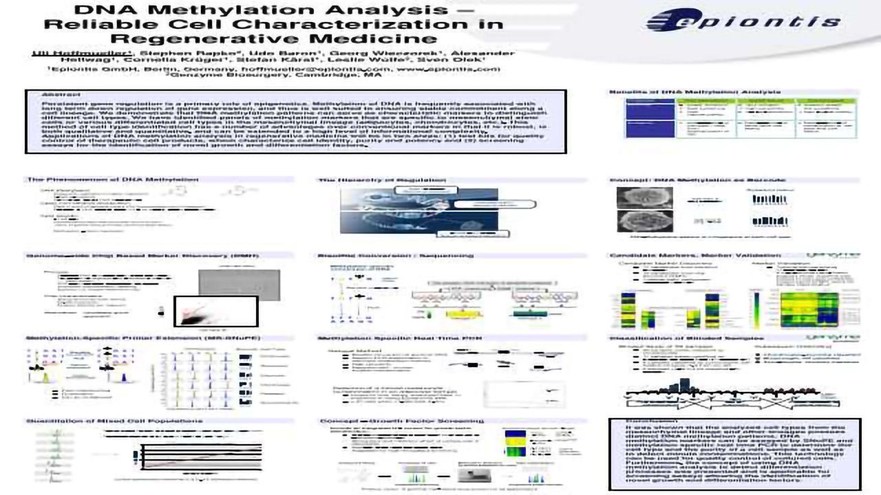DNA Methylation Analysis – Reliable Cell Characterization in Regenerative Medicine