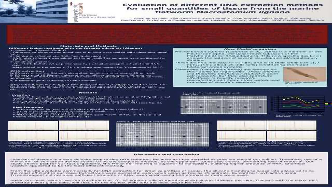 Evaluation of Different RNA Extraction Methods