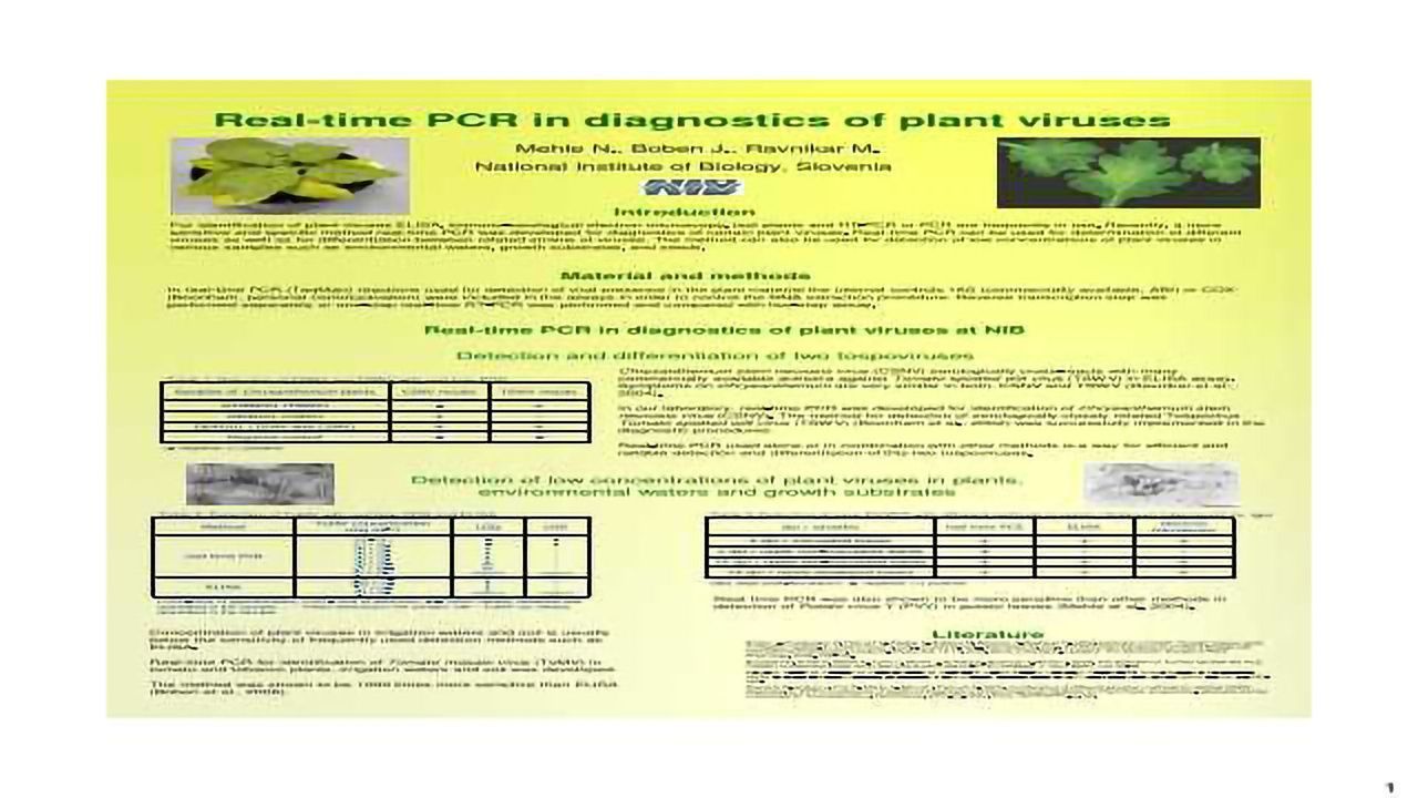 Real-time PCR in Diagnostics of Plant Viruses